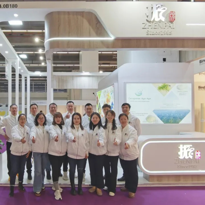 振牌参展FIE 2023，斩获巨大成功