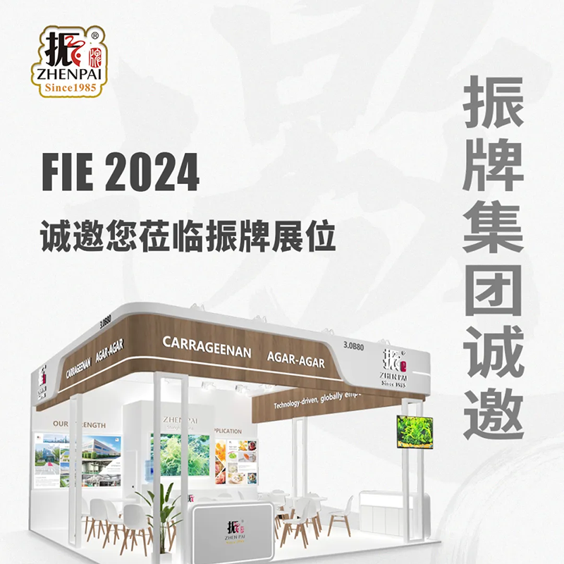 振牌邀您共赴 FIE 2024：期待与您现场深入交流